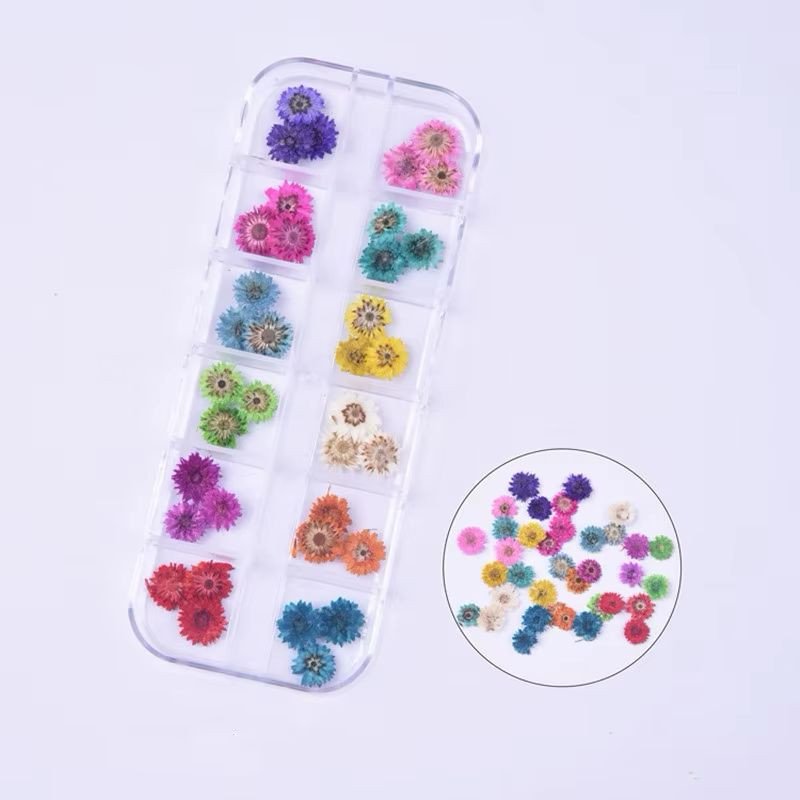 Appliques Ongles Fleurs Seches - X006